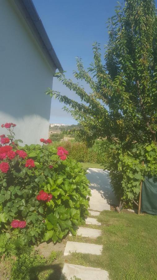 Quinta Do Serrado De Belmonte Белмонти Екстериор снимка