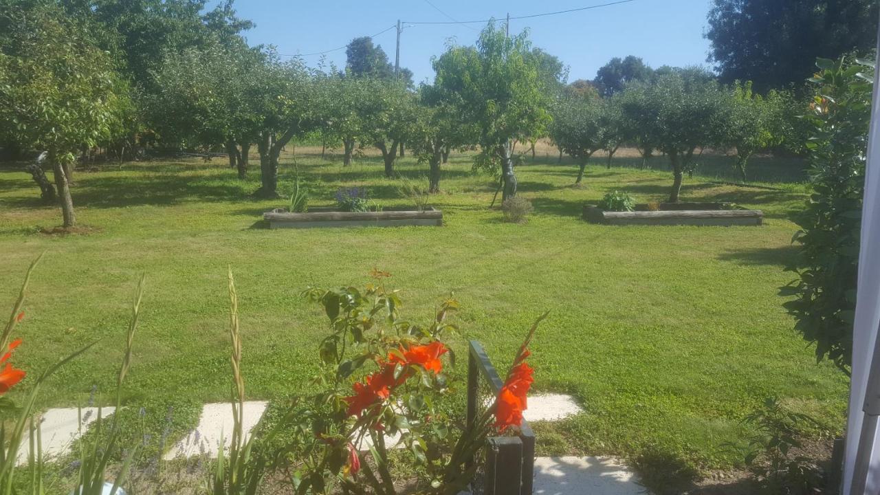 Quinta Do Serrado De Belmonte Белмонти Екстериор снимка