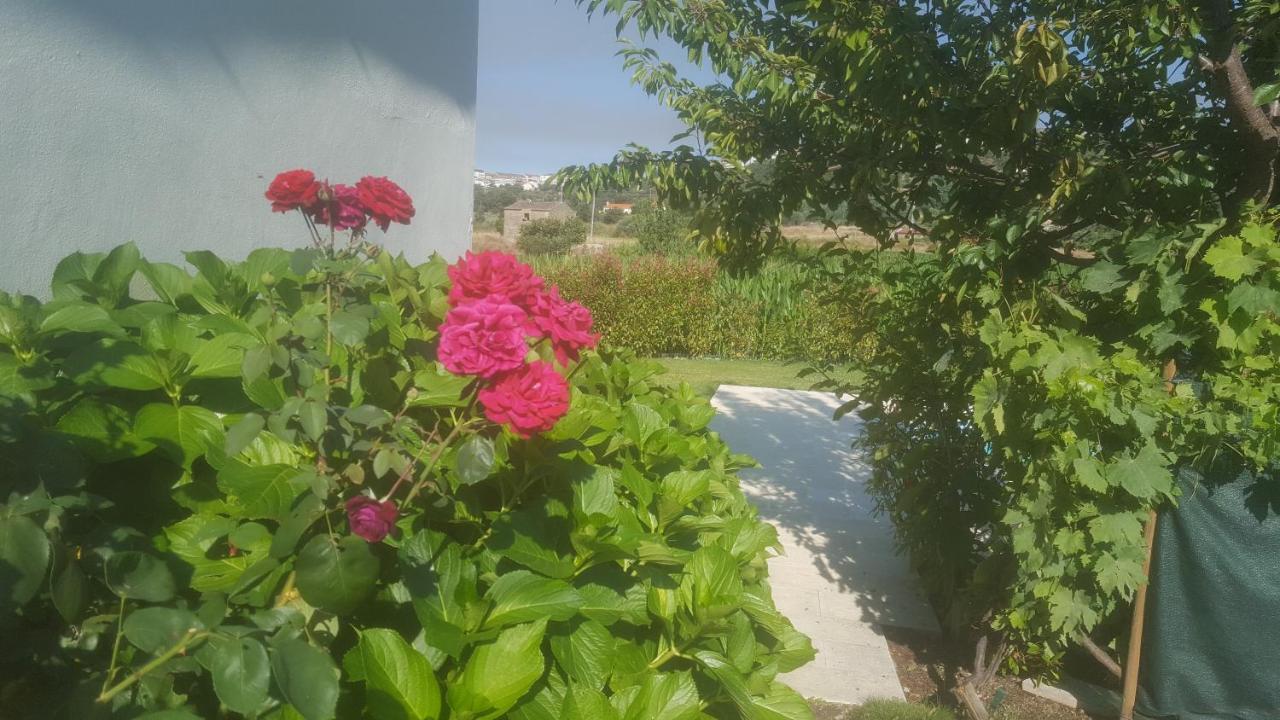 Quinta Do Serrado De Belmonte Белмонти Екстериор снимка