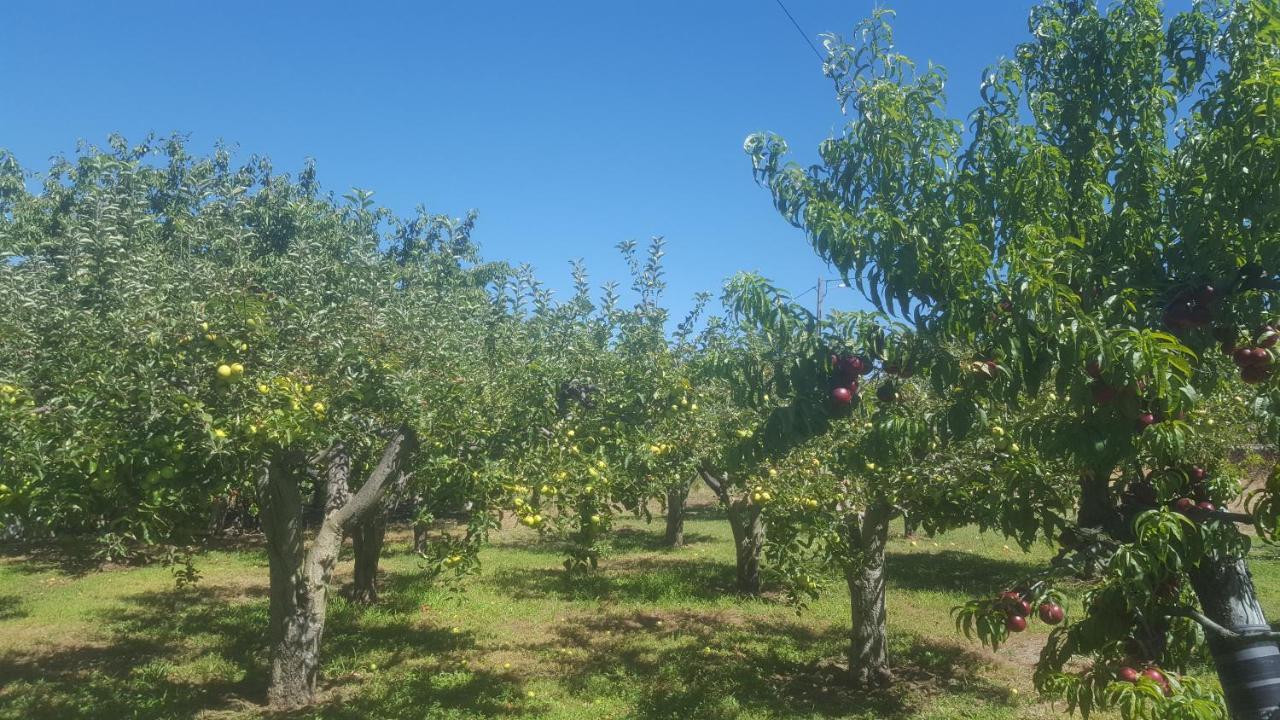 Quinta Do Serrado De Belmonte Белмонти Екстериор снимка