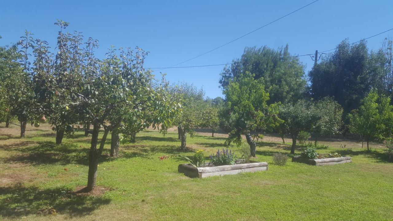 Quinta Do Serrado De Belmonte Белмонти Екстериор снимка